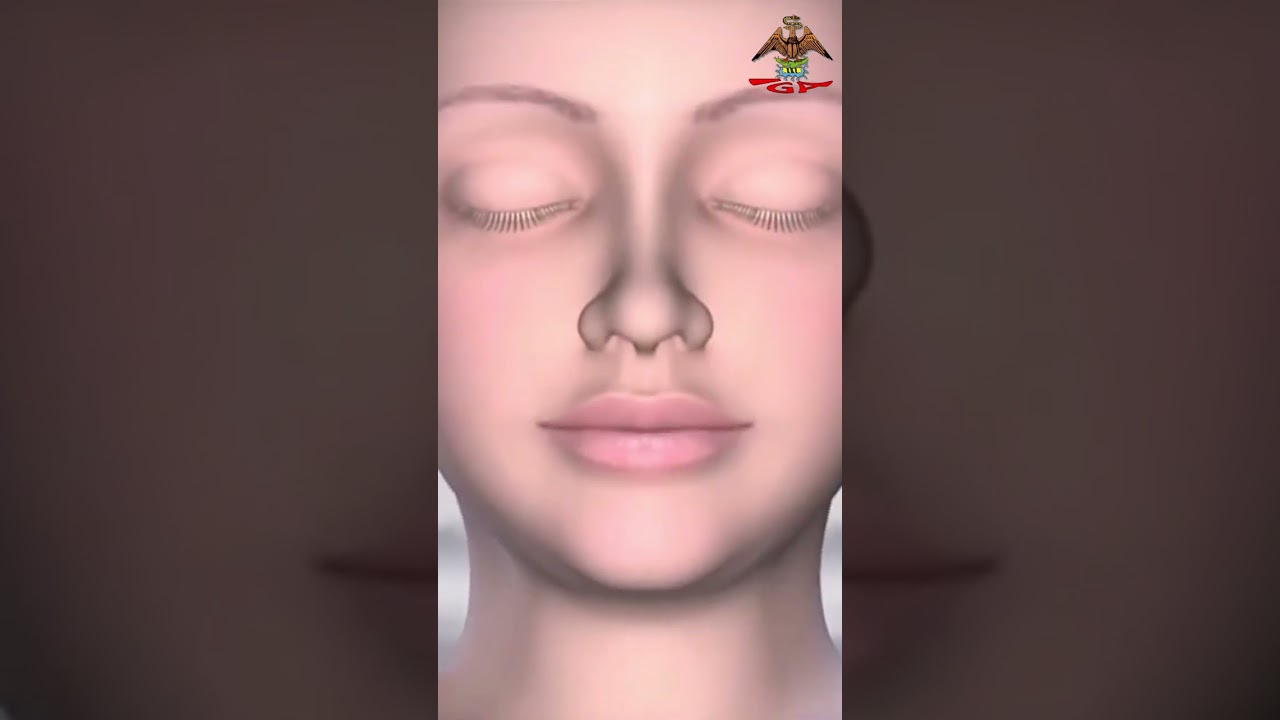 Meditación