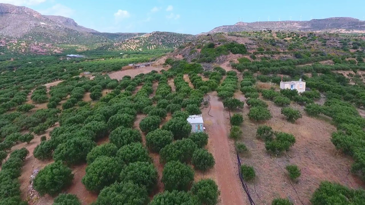 Mountains, Fields and Olive Groves around the village Palaikastro in Crete Island
