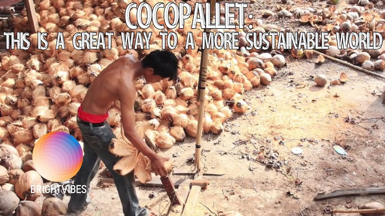 These pallets are made from coconut shells