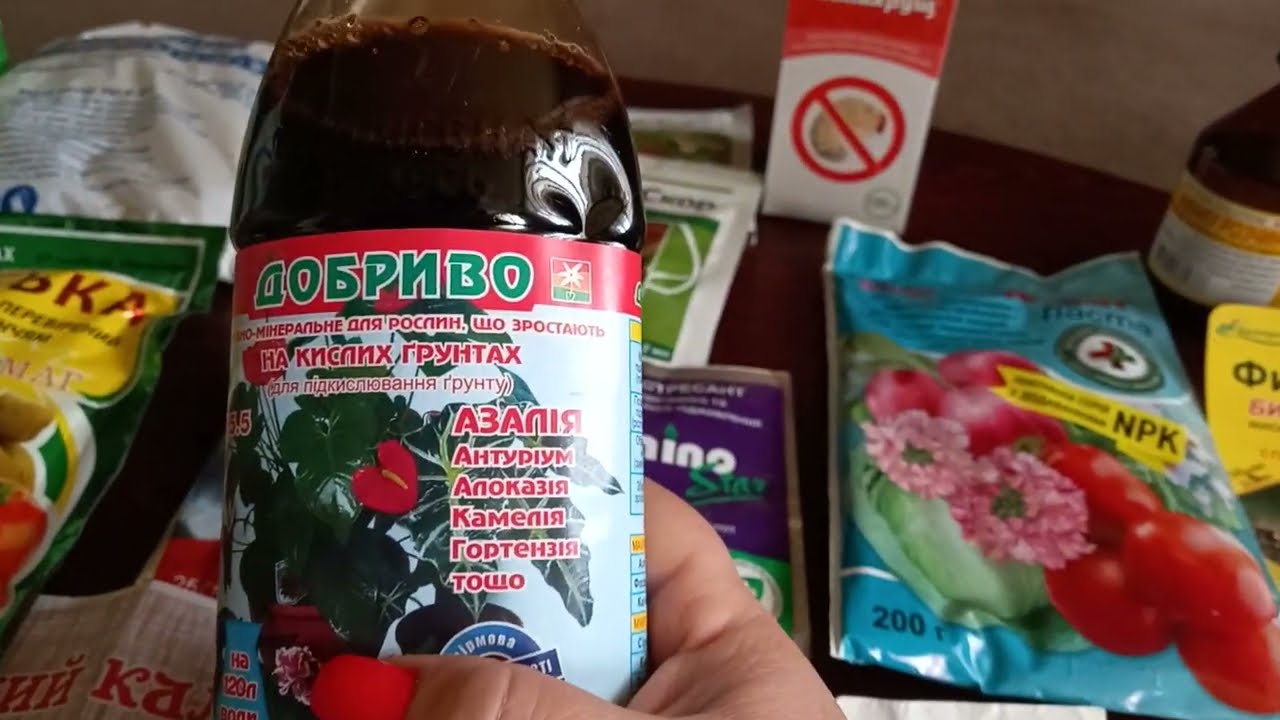 Удобрения и препараты для голубики на весь сезон. Часть 1. 2023 г