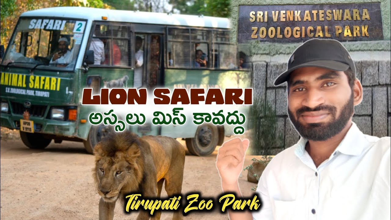 Tirupati Zoo Park | Sri Venkateswara Zoological Park | Prasad Gadi
