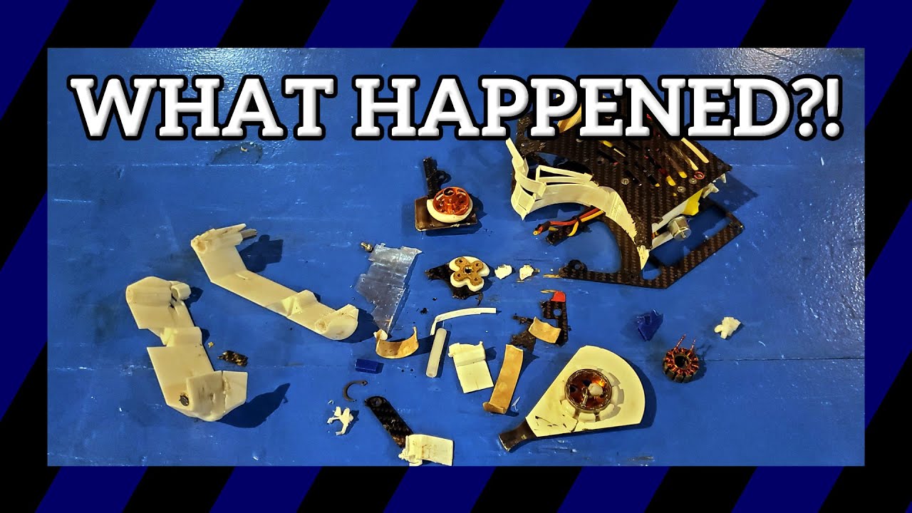 Cheesecake's autopsy after fighting Mudskipper