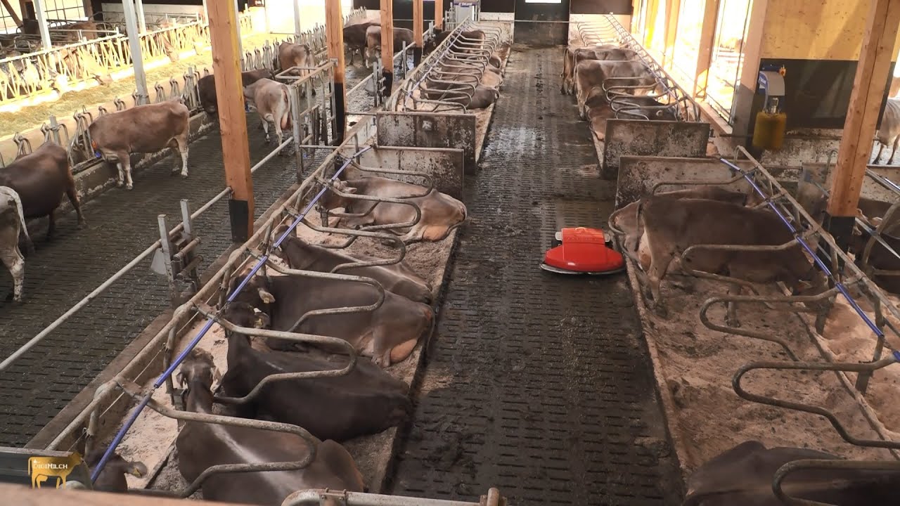 DigiMilch-Demonstrationsprojekt Vernetzte Stalltechnik