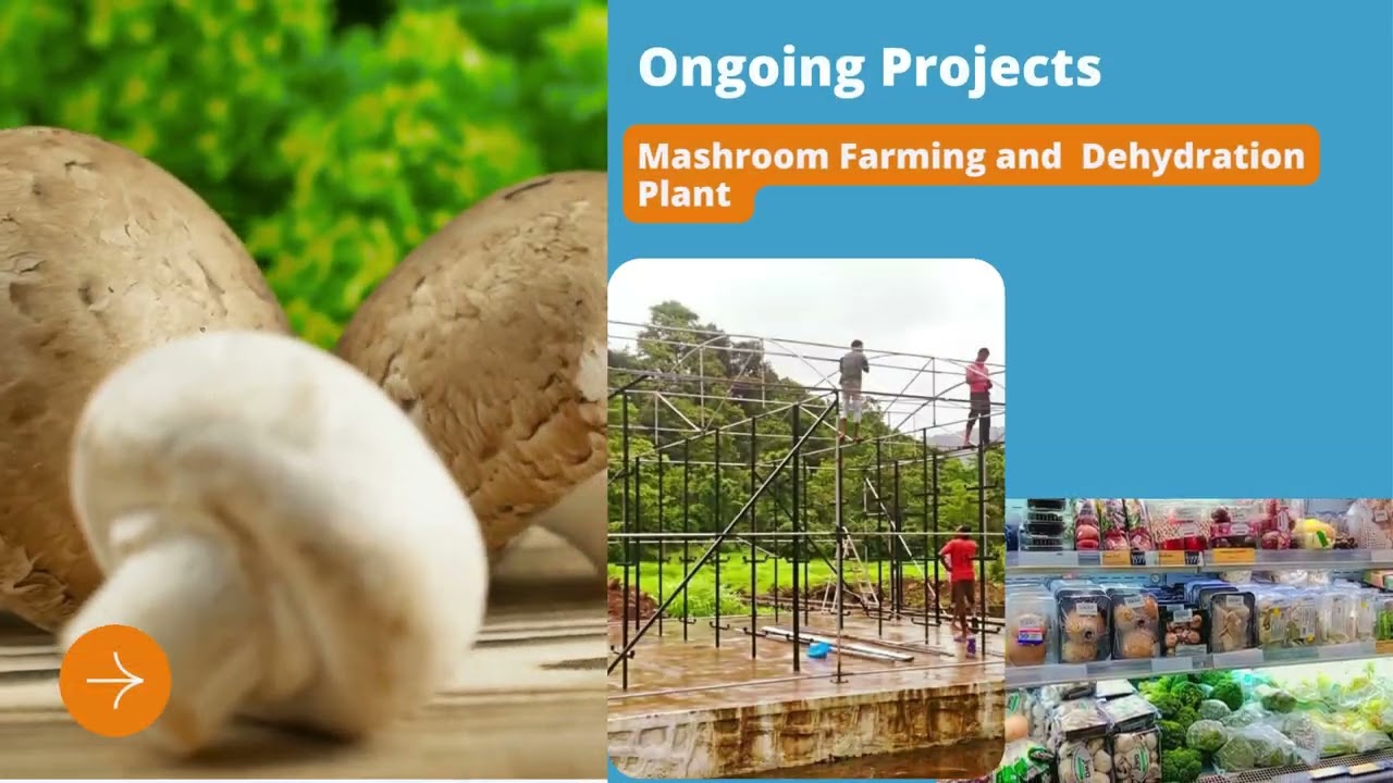 Our Turnkey Food Projects: From Concept to Completion - Witness Our Success Stories I ProwessBuzz