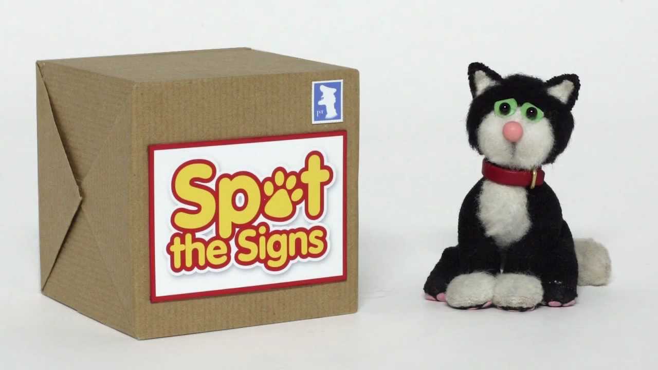 Spot the Signs: How to spot the signs of cat pain, with Jess the Cat