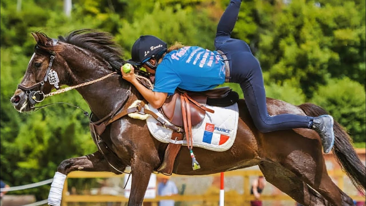 Mounted Games World Team Championships 2019 - Promotional Video