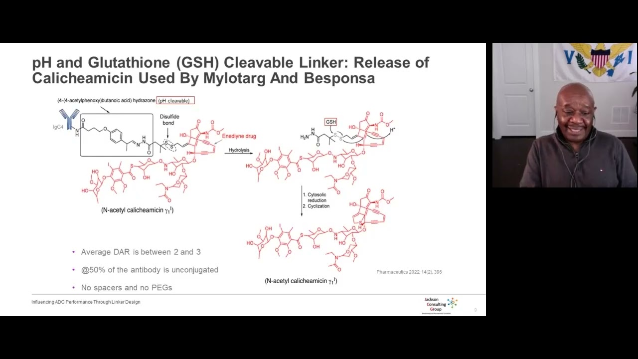 Influencing ADC Performance Through Linker Design