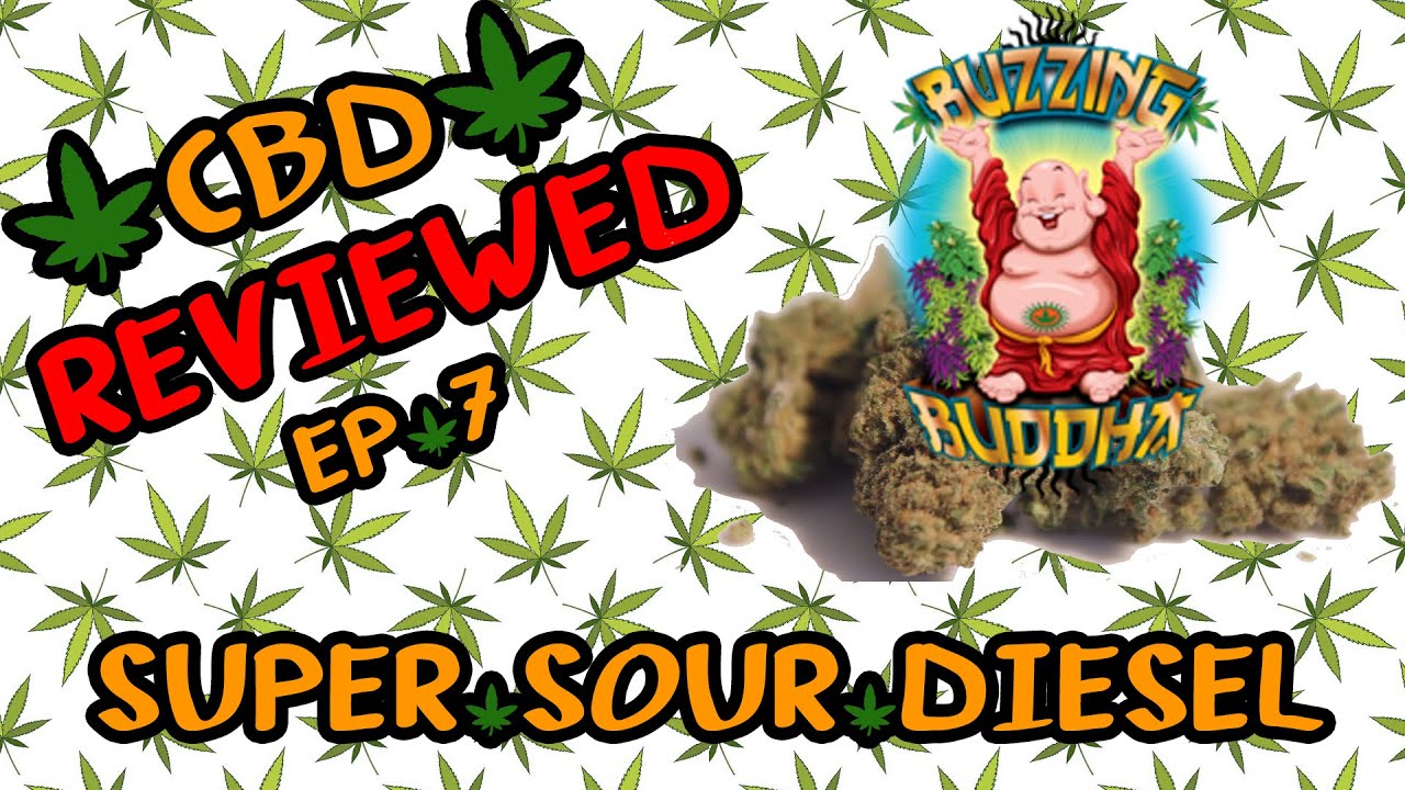 (420 SPECIAL) Honest Hemp Reviews EP 7 - SUPER SOUR DIESEL from Buzzing Buddha