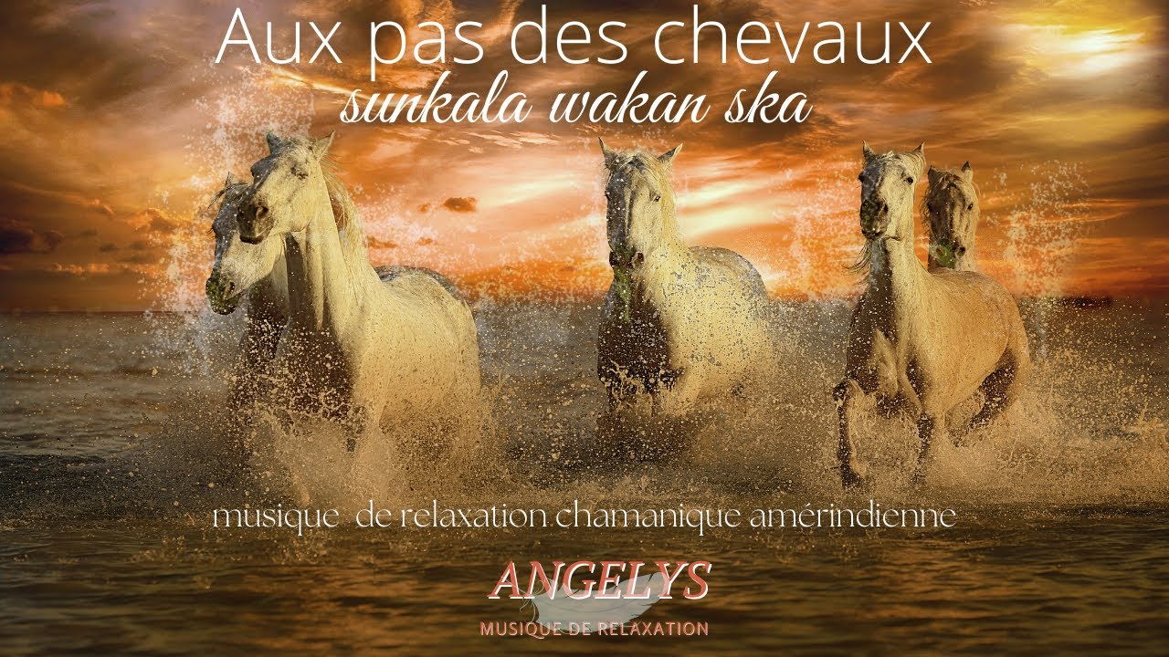 Le pas des chevaux (sunkala wakan ska) musique Amérindienne avec tambour et flûte