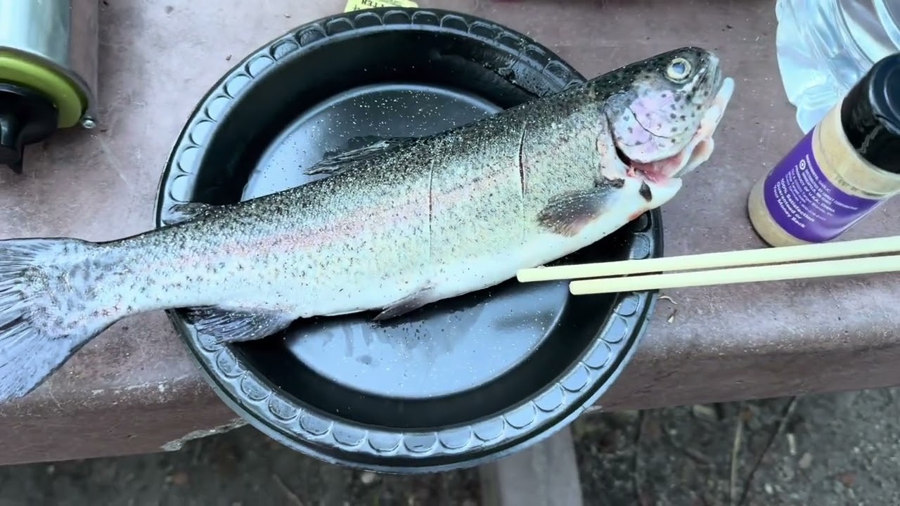 Camping at June Lake - June 2024