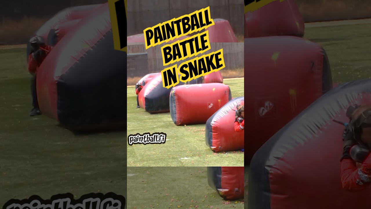 Snake fight #shorts #paintball #speedball #paintballing