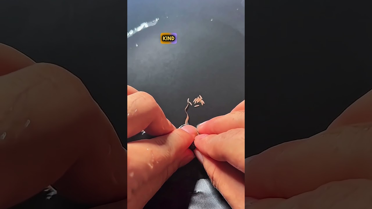 Struggling Fish&rsquo;s Birth Miracle ❤️&zwj;🩹