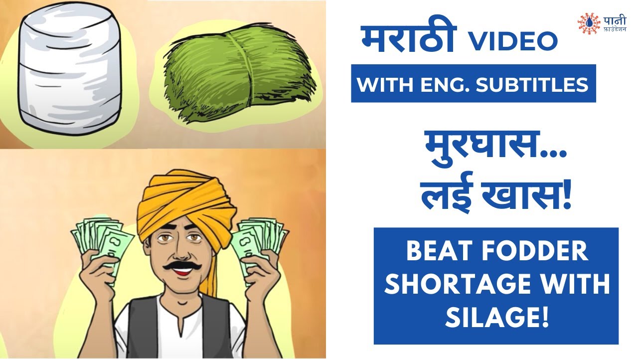 मुरघास बनवा घरच्या घरी । How To Make Silage and Beat Fodder Shortage | With Eng. Subtitles