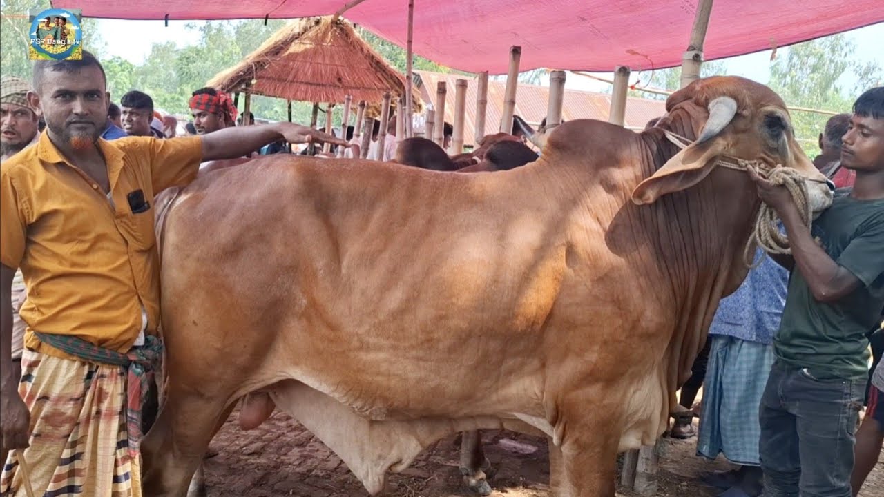 @ শুক্রবার ২৯ আগষ্ট