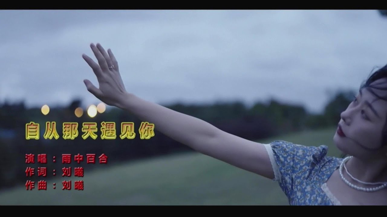 自從那天遇見你-雨中百合-主唱 KARAOKE