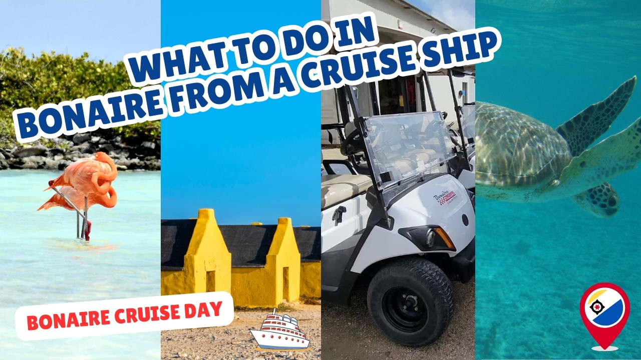 Experience The BEST Of Bonaire On Your Caribbean Cruise