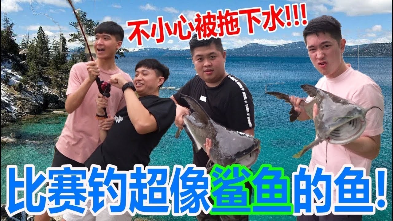 四条水比赛钓超像鲨鱼的鱼!到底谁钓到最大只的!还一度被拖下水……