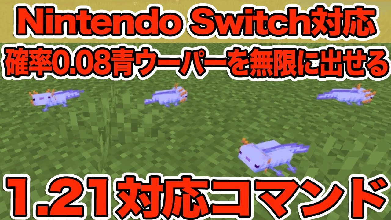 【マイクラ】青色ウーパールーパーをコマンドで出そう！【マインクラフト/統合版/スイッチ版】
