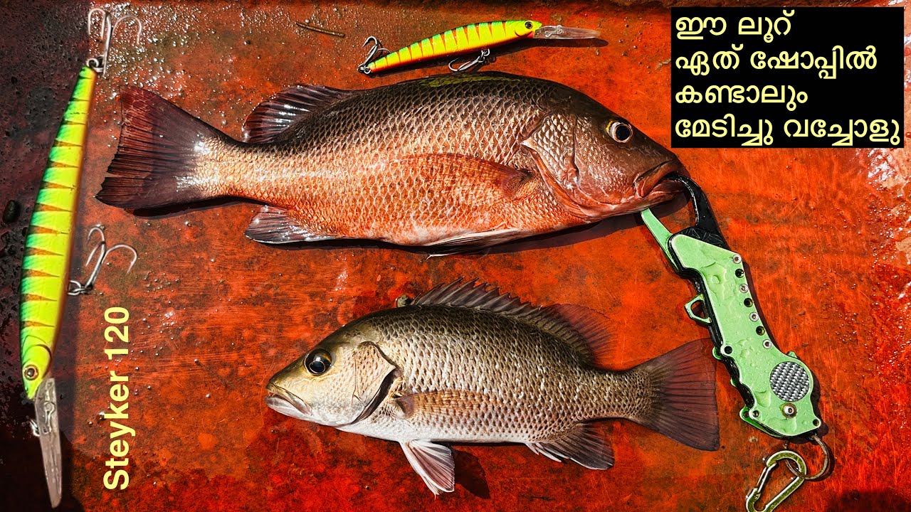 ഈ ലൂറ് എവിടെ കണ്ടാലും മേടിച്ചു വച്ചോളു #stiker120 #120lure #malabaranglers #fishing #fish #magowjack