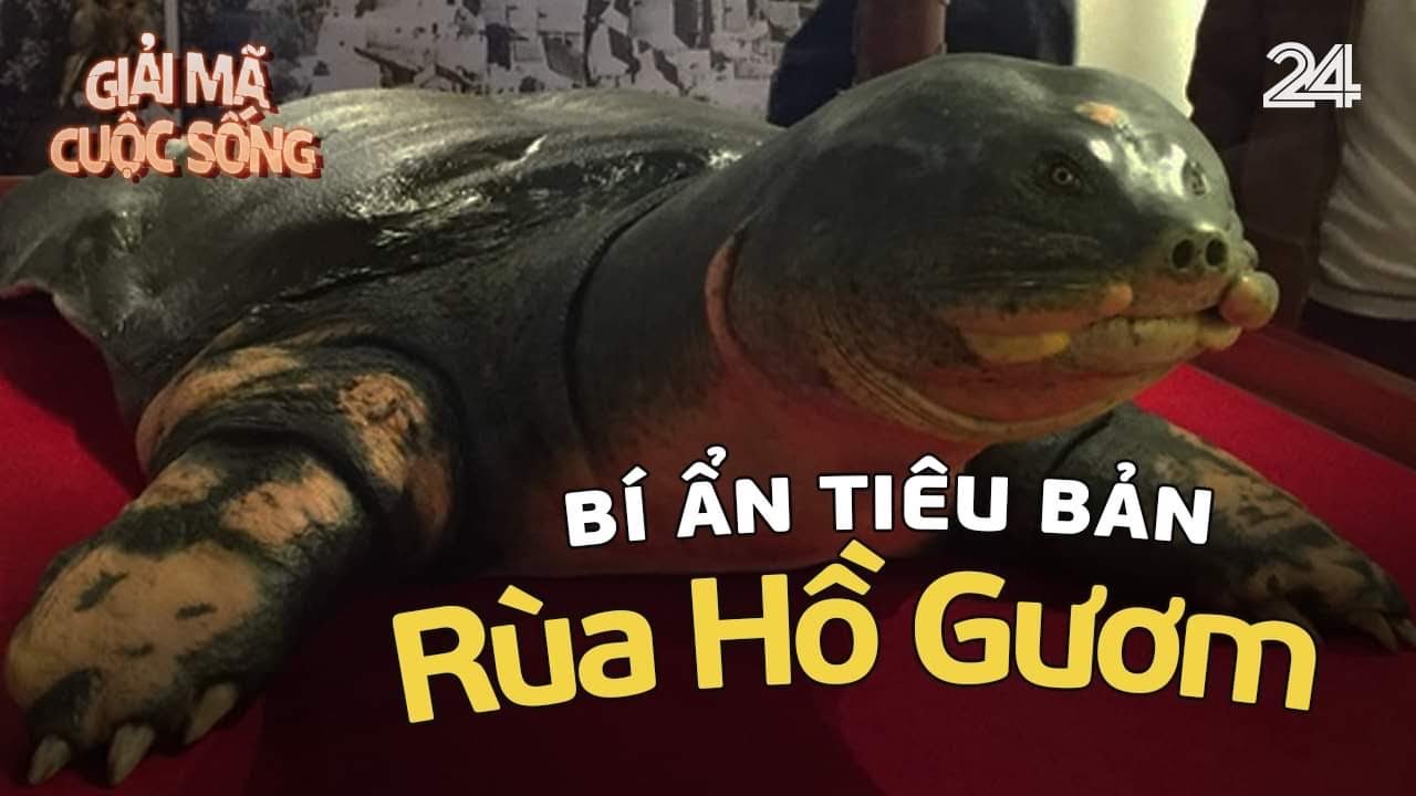Bí ẩn tiêu bản 