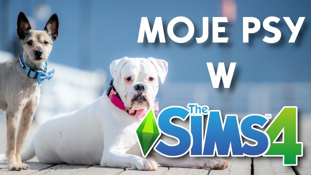 MOJE PSY W THE SIMS 4 - Dzień Psa - Ku pamięci mojego Psa