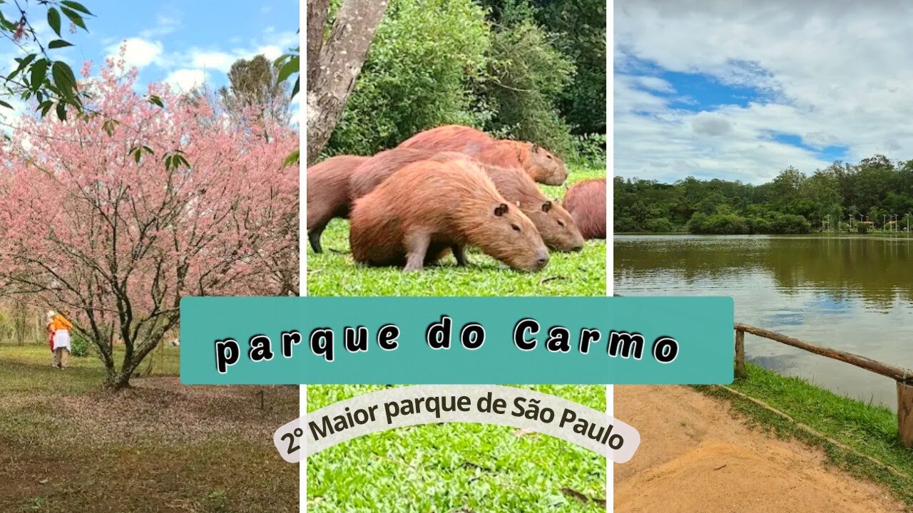 Aventura no parque Do parque do Carmo - Vem conhecer o 2&deg; Maior parque de S&atilde;o Paulo