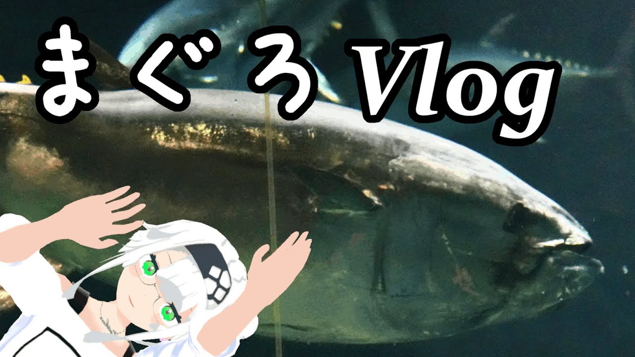 Vlog in 葛西【マグロが見たかったから】