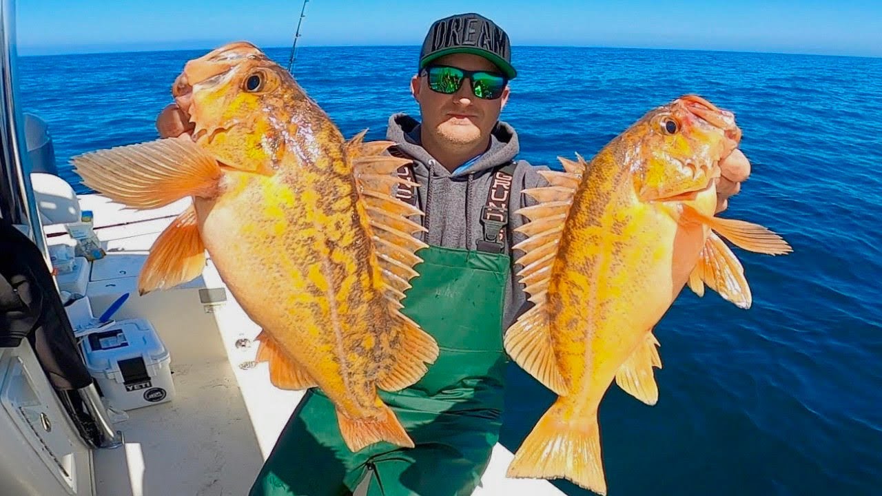 EPIC 2024 Rockfish Opener at Catalina Island! (Catch, Clean and Cook)