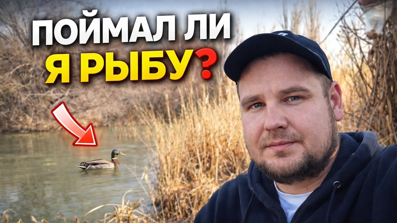Поймал ли я рыбу… или только утку?