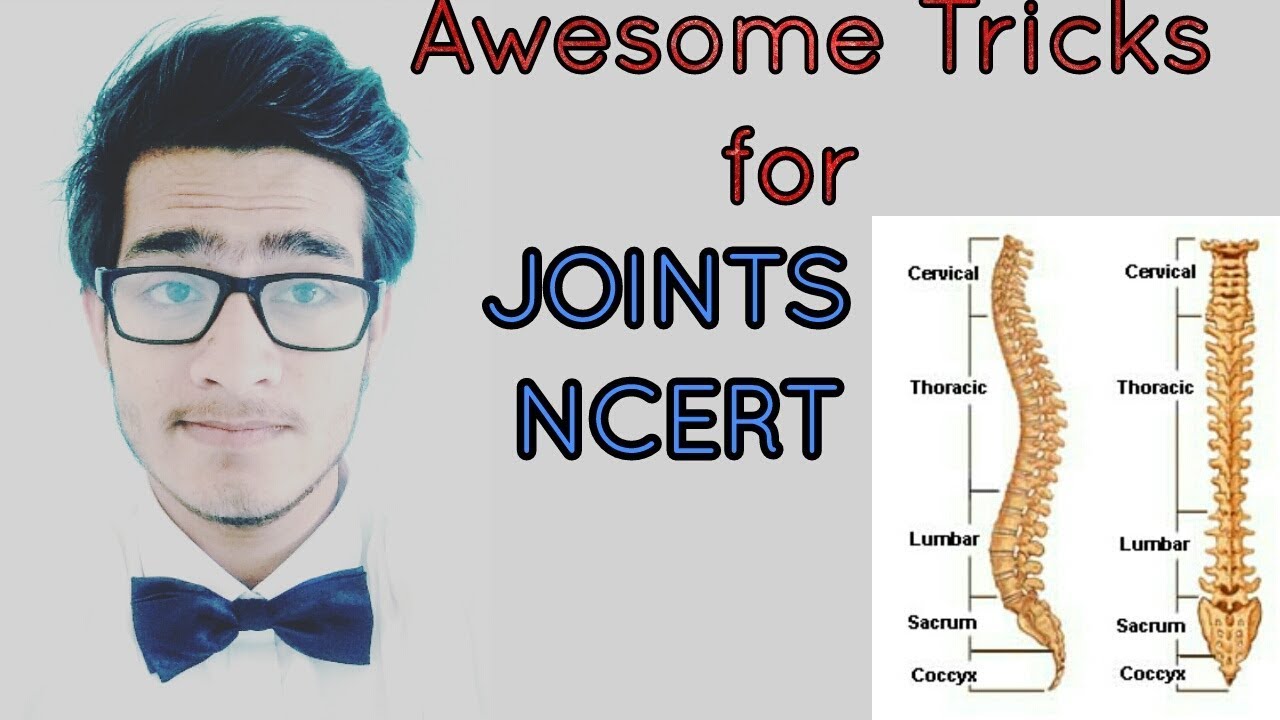 Tricks to learn types and examples of joints NCERT for NEET AIIMS JIPMER