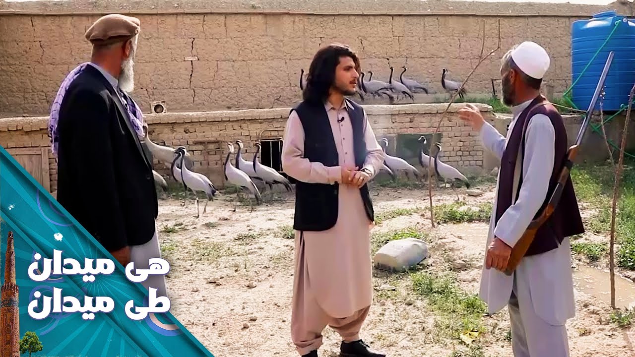 On the Road - Bagram District of Kabul | هی میدان طی میدان - ولسوال بگرام ولایت کابل