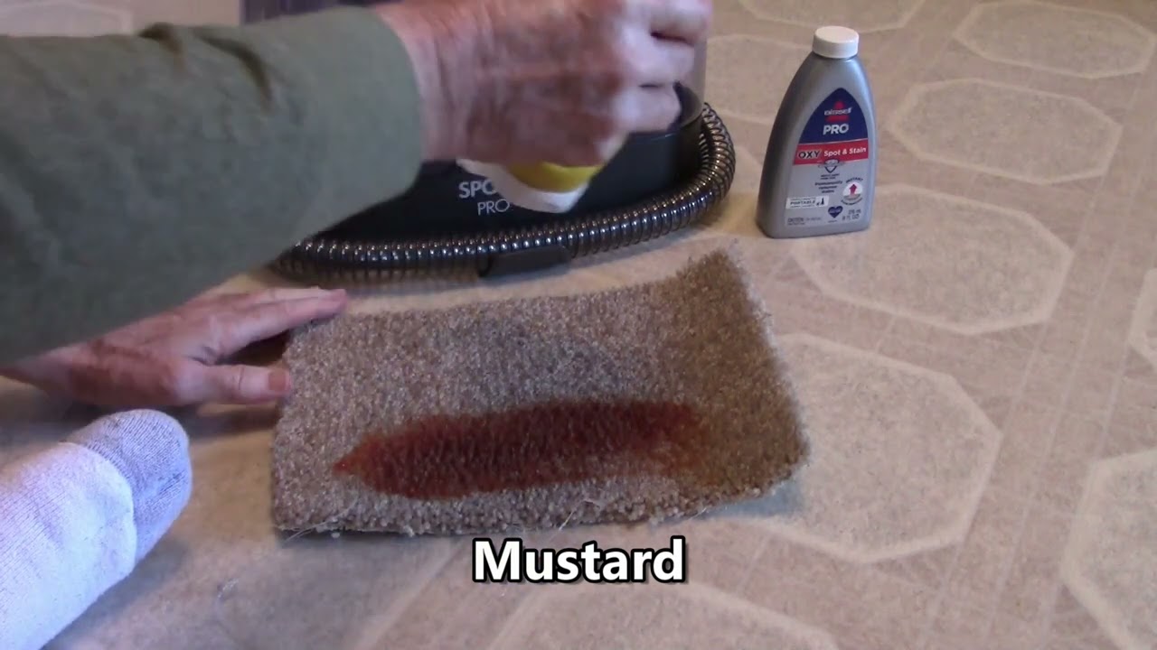 Bissell Spot Cleaner Model 2694
