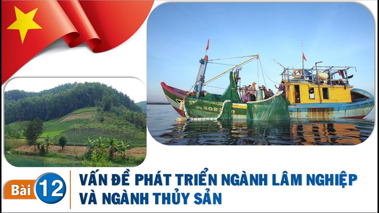 Địa lí 12 - Bài 12. VẤN ĐỀ PHÁT TRIỂN NGÀNH LÂM NGHIỆP VÀ NGÀNH THỦY SẢN