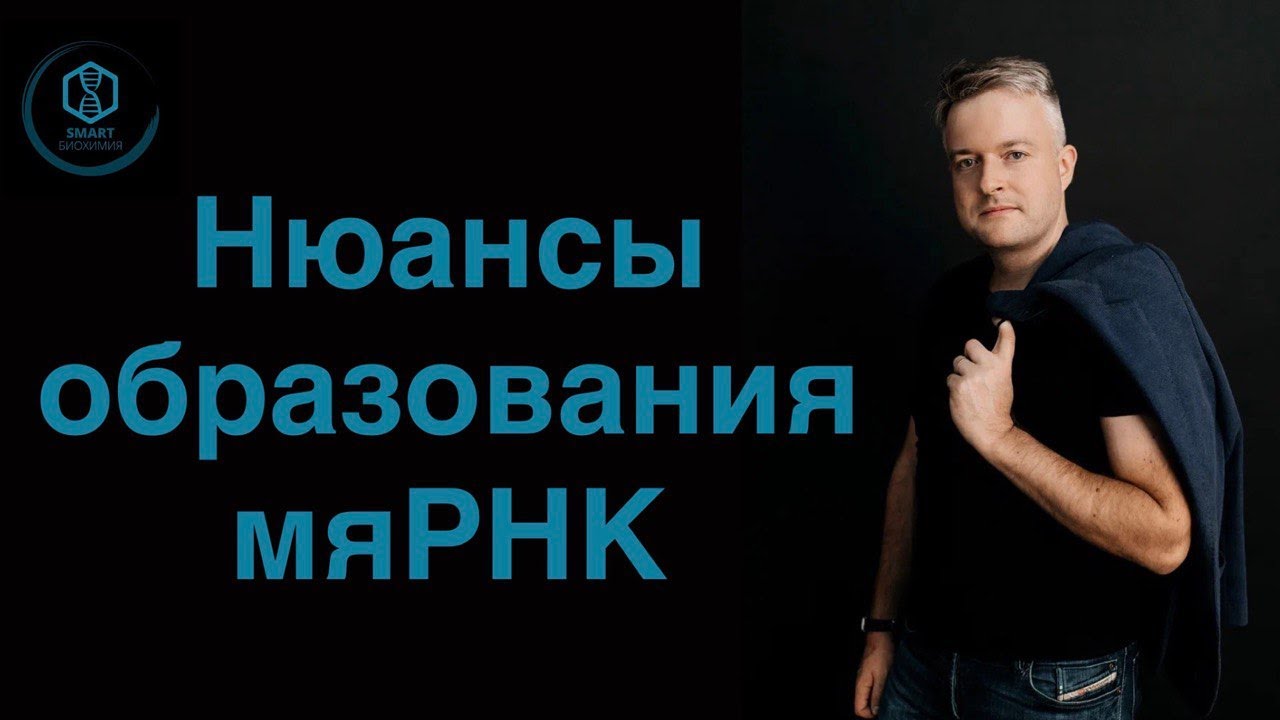 Рассмотрим нюансы образования мяРНК