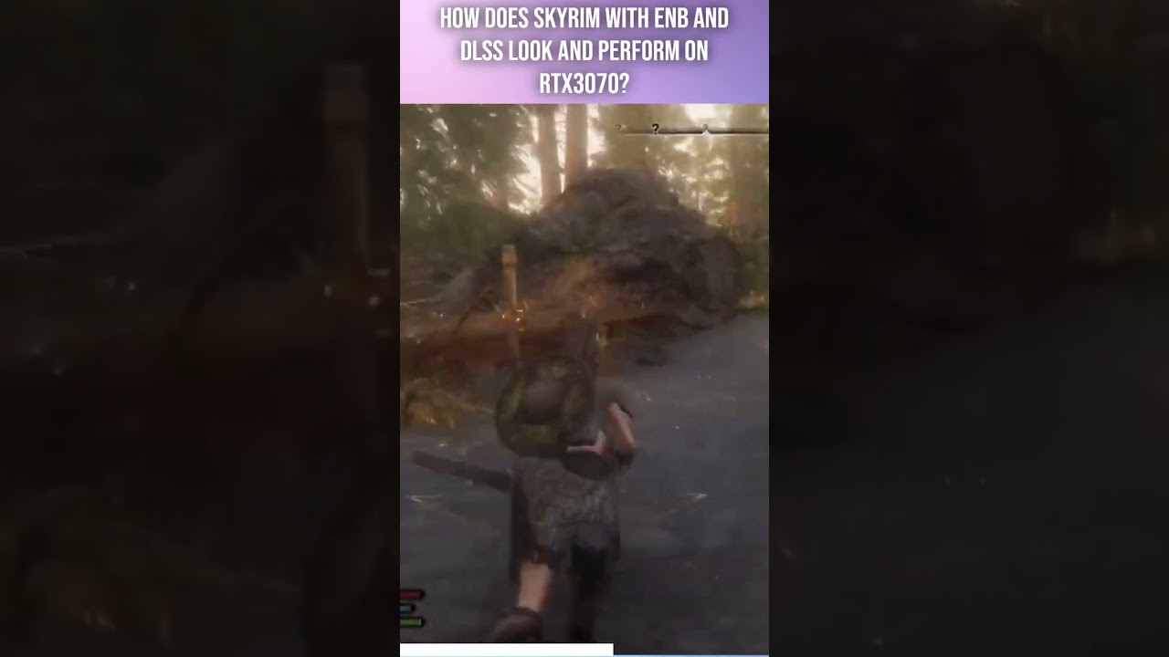 How does Skyrim with ENB and DLSS look and perform on rtx3070