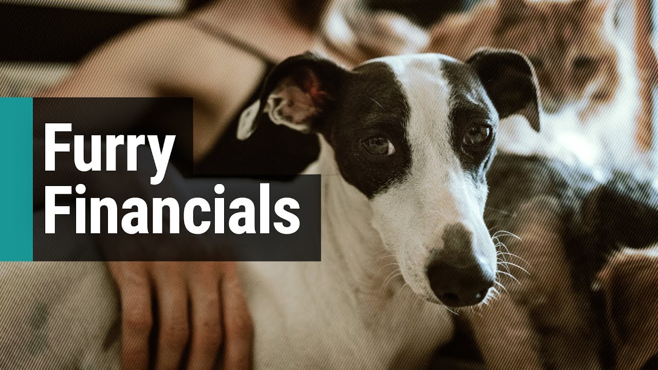 The business behind your pets | NJ Business Beat