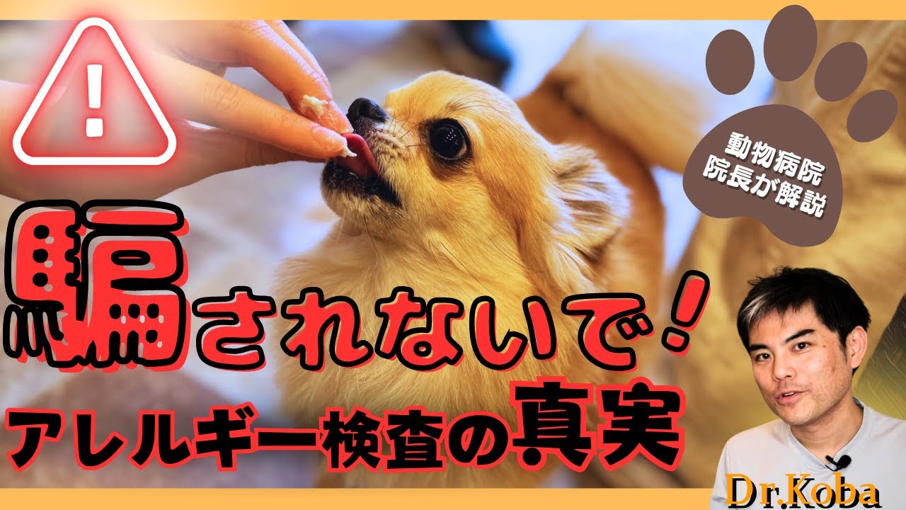 【犬・猫】意味はあるのか？　アレルギー検査の真実！【獣医師・愛玩動