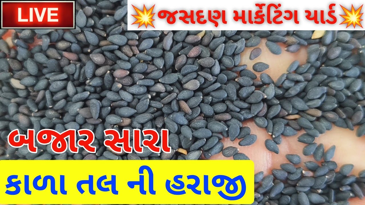 🔴live કાળા તલ ની હરાજી in જસદણ માર્કેટિંગ યાર્ડ | jasdan APMC market,July 19, 2025