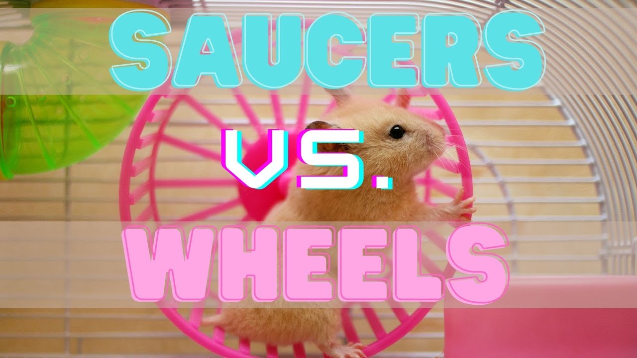 HAMSTER Review: Saucers vs. Wheels - Which One is BETTER | Funny Hamster Animal Video 2021
