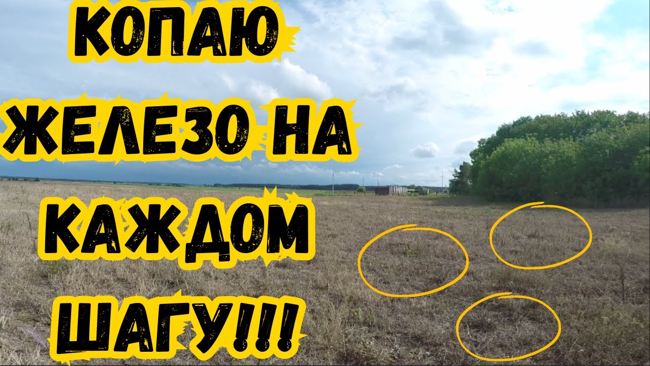 Копаю железо на каждом шагу!!! Коп с пиратом