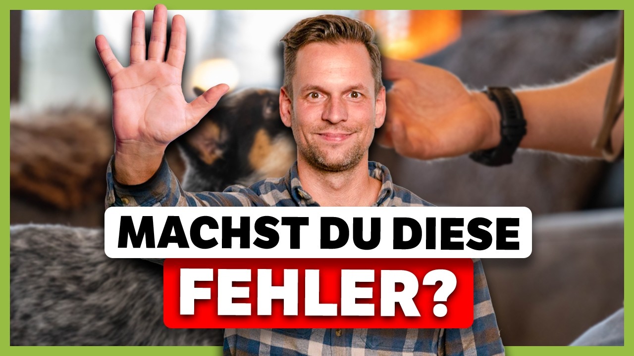 So NIEMALS loben &ndash; Vermeide diese 5 Fehler (auch f&uuml;r Welpen!)
