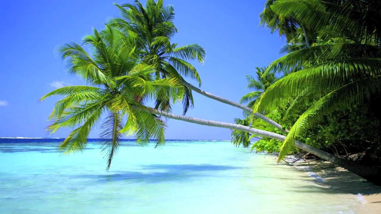 Good Size - The Pineapple Song