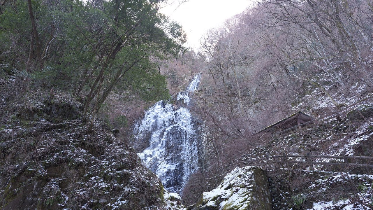 【絶景・氷瀑】白猪の滝　2026/1/12