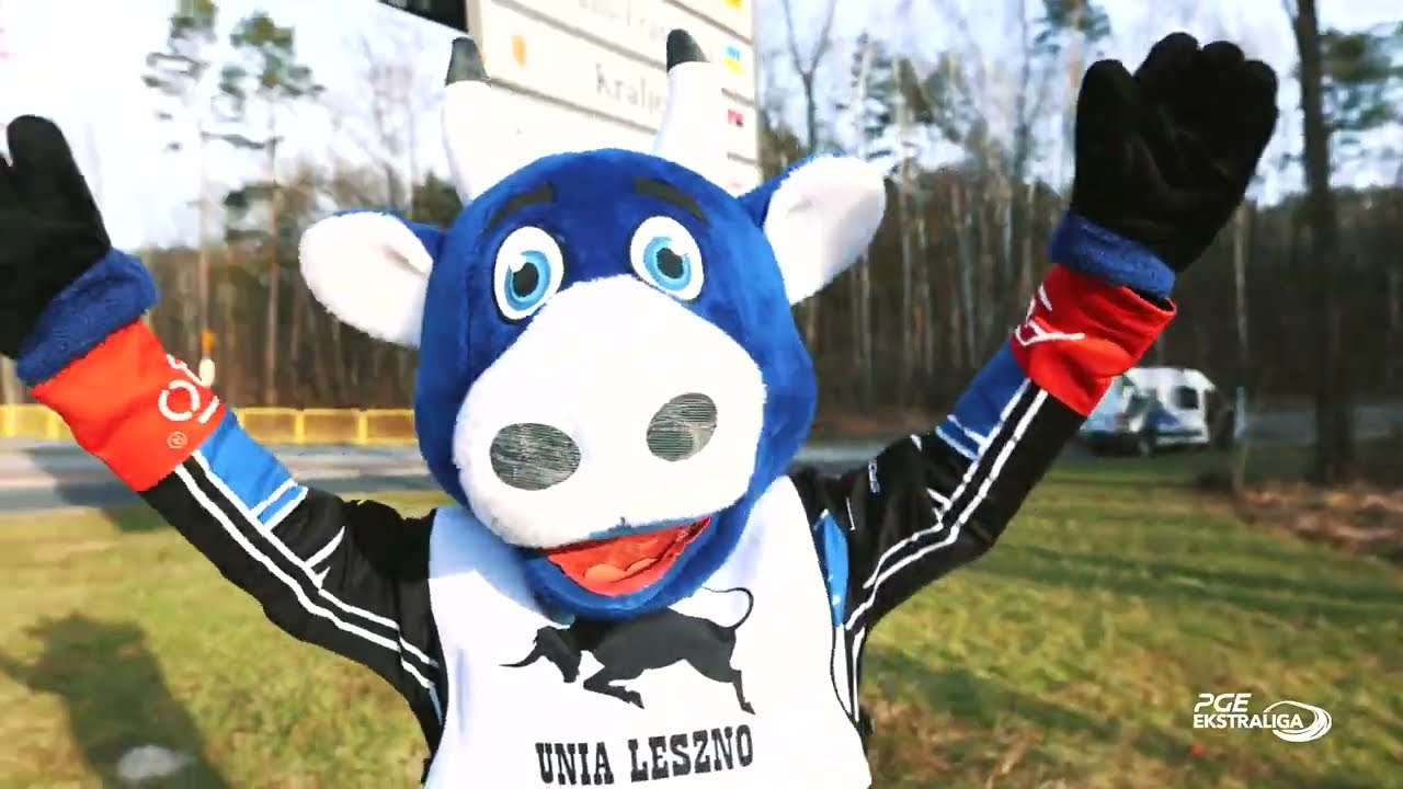 Wizyta Byczka Fredka na urodzinach Motomyszy w Zielonej Górze!