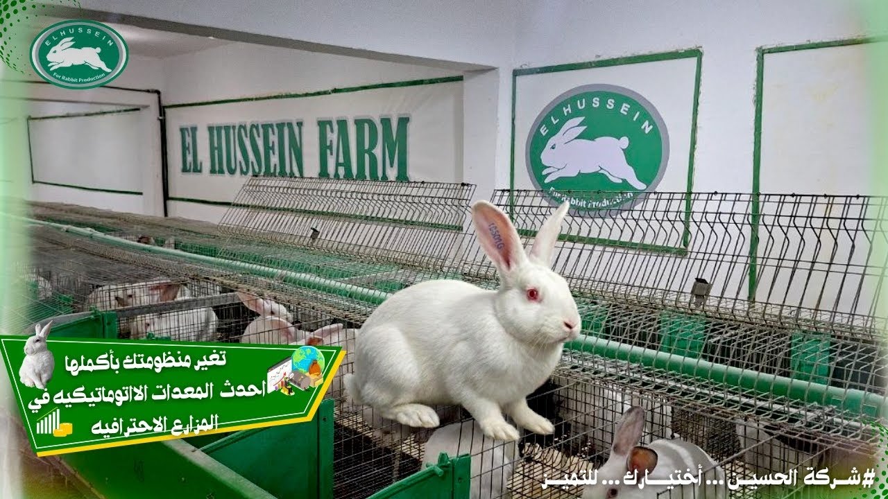 شرح مبسط لبطارية الإيطالي الأوتوماتيكية من مزارع الحسين