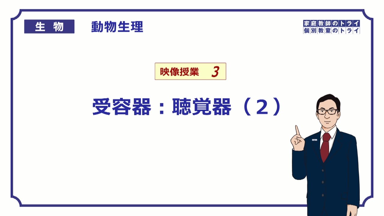【高校生物】　動物生理3　受容器：聴覚器（２）（２７分）