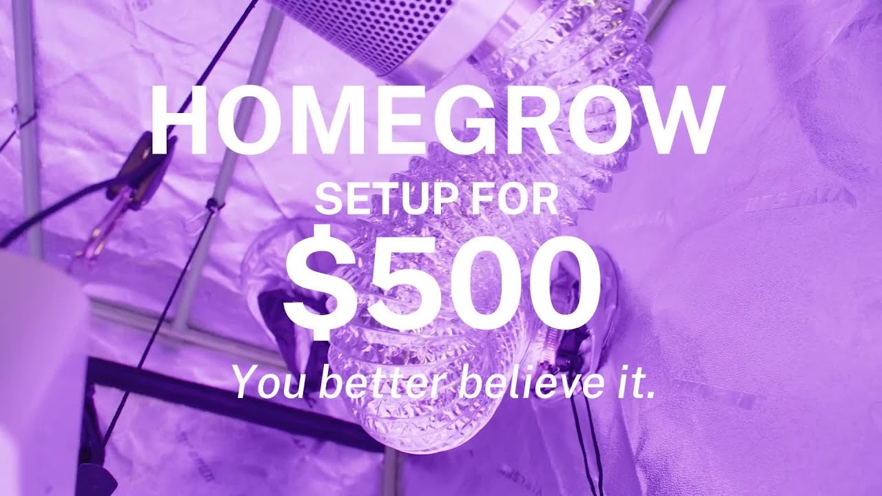 🚀 Want to start growing your own cannabis without spending thousands?