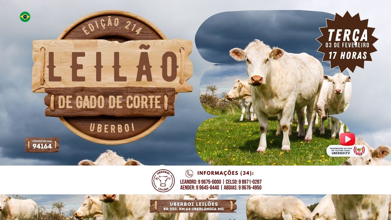 214º LEILÃO UBERBOI LEILÕES - UBERLÂNDIA MG - 03/02/2026 - 17 Hrs
