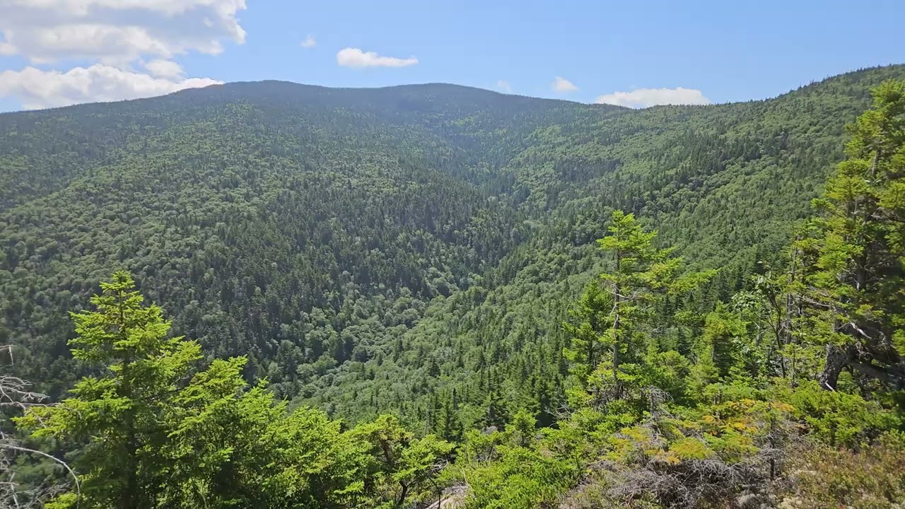 sandwich wilderness