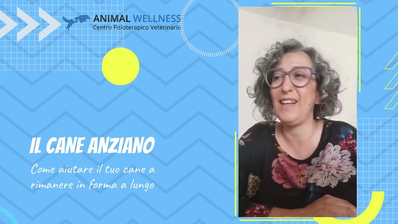 il cane anziano, come tenerlo in forma a lungo